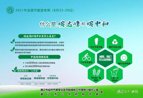 軟件開發(fā)賦能節(jié)能降碳 2021年全國節(jié)能宣傳周綠色技術(shù)實(shí)踐與展望